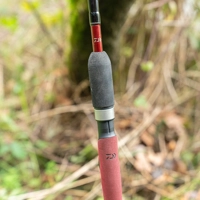 Daiwa Connoisseur Pro Match Rods